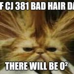 Bad Hair Day Cat | ∑ OF CJ 381 BAD HAIR DAYS. THERE WILL BE O² | image tagged in bad hair day cat | made w/ Imgflip meme maker