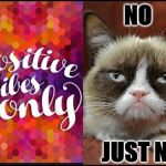 GRUMPY VS VIBES | NO; JUST NO | image tagged in grumpy vs vibes | made w/ Imgflip meme maker