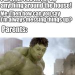 steve buscemi hulk | Parents: You never do anything around the house! Me: Then how can you say I'm always messing things up? Parents: | image tagged in steve buscemi hulk | made w/ Imgflip meme maker