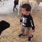 My Goat GIF Template