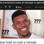 Twin step sisters are A thing meme