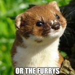 Weasel | UPVOTE THIS MEME; OR THE FURRYS WILL GET YOU TONIGHT | image tagged in weasel | made w/ Imgflip meme maker