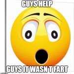 omG!!!!! | GUYS HELP; GUYS IT WASN T FART | image tagged in omg | made w/ Imgflip meme maker