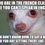 embarrassed grin | WHEN YOU ARE IN THE FRENCH CLASSROOM, WHERE YOU CAN'T SPEAK IN ENGLISH... AND YOU DON'T KNOW HOW TO SAY A WORD IN FRENCH AND YOU ARE SITTING THERE LIKE "UHHHHH.." | image tagged in embarrassed grin | made w/ Imgflip meme maker