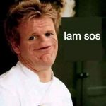 Gordon Ramsey finally found the Lamb sauce | lam sos | image tagged in memes,lamb sauce,chef gordon ramsay | made w/ Imgflip meme maker
