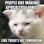 Depressed Cat | PEOPLE ARE MAKING APOCALYPSE JOKES; LIKE THERE’S NO TOMORROW | image tagged in depressed cat,memes | made w/ Imgflip meme maker