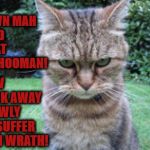 PUT IT DOWN | PUT DOWN MAH FOOD & CAT NIP HOOMAN! NOW BACK AWAY SLOWLY OR SUFFER MAH WRATH! | image tagged in put it down | made w/ Imgflip meme maker