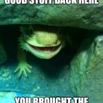 Bad Influence Bearded Dragon | I GOT SOME REAL GOOD STUFF BACK HERE; YOU BROUGHT THE CRICKETS RIGHT MAN? | image tagged in bad influence bearded dragon | made w/ Imgflip meme maker