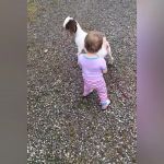 baby and goat GIF Template