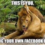 Lion licking his FB post | THIS IS YOU, LIKING YOUR OWN FACEBOOK POST. | image tagged in lion licking himself,facebook | made w/ Imgflip meme maker