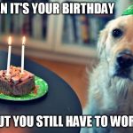 sad birthday dog | WHEN IT'S YOUR BIRTHDAY; BUT YOU STILL HAVE TO WORK | image tagged in sad birthday dog | made w/ Imgflip meme maker