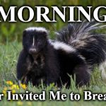 sk | MORNING; Tucker Invited Me to Breakfast! | image tagged in sk | made w/ Imgflip meme maker