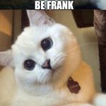 bad pun cat  | TO BE FRANK; I WOULD HAVE TO CHANGE MY NAME | image tagged in bad pun cat | made w/ Imgflip meme maker