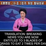 Breaking News. North Korea Edition. | TRANSLATION: BREAKING NEWS YOU ARE NOW ENTITLED TO 3 BLADES OF GRASS TO EAT 2 TIMES PER DAY | image tagged in north korean anchorwoman,memes,funny,breaking news,north korea | made w/ Imgflip meme maker