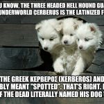 Cerberus Pups | DID YOU KNOW, THE THREE HEADED HELL HOUND GUARDIAN OF THE UNDERWORLD CERBERUS IS THE LATINIZED FORM OF; THE GREEK ΚΕΡΒΕΡΟΣ (KERBEROS) AND POSSIBLY MEANT "SPOTTED". THAT'S RIGHT. HADES, LORD OF THE DEAD LITERALLY NAMED HIS DOG "SPOT". | image tagged in cerberus pups | made w/ Imgflip meme maker