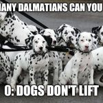 dalmatians | HOW MANY DALMATIANS CAN YOU SPOT? 0: DOGS DON'T LIFT | image tagged in dalmatians | made w/ Imgflip meme maker
