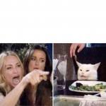 Real housewives screaming cat meme