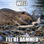 beaver dam | WELL; I'LL BE DAMMED | image tagged in beaver dam | made w/ Imgflip meme maker