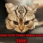 SOON | SOON! SOON FILTHY STINKY HUMAN SLAVE | image tagged in soon | made w/ Imgflip meme maker