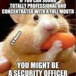 Hamster eats carrot mouthful | IF YOU CAN SOUND TOTALLY PROFESSIONAL AND CONCENTRATED WITH A FULL MOUTH; S/O Memes; YOU MIGHT BE A SECURITY OFFICER | image tagged in hamster eats carrot mouthful | made w/ Imgflip meme maker