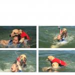 Dog Drowning Woman