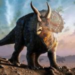 Triceratops meme