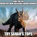try sarah's tops | WHAT DID THE TRICERATOPS NAME HER BLOUSE MAKING BUSINESS? TRY SARAH'S TOPS | image tagged in triceratops | made w/ Imgflip meme maker