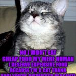 I'M A CAT | NO I WON'T EAT CHEAP FOOD MY MERE HUMAN; I DESERVE EXPENSIVE FOOD BECAUSE I'M A CAT THANK YOU! YOU'RE DISMISSED PEASANT! | image tagged in i'm a cat | made w/ Imgflip meme maker