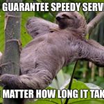Lazy Sloth | WE GUARANTEE SPEEDY SERVICE; NO MATTER HOW LONG IT TAKES | image tagged in lazy sloth | made w/ Imgflip meme maker