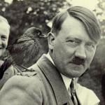 A Little Bird Told Hitler...