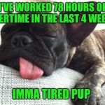 I was hoping to go fishing today, but I'm too dang tired. And there's no relief in sight until after Christmas :/ | I'VE WORKED 78 HOURS OF OVERTIME IN THE LAST 4 WEEKS; IMMA TIRED PUP | image tagged in tired dog,jbmemegeek,memes | made w/ Imgflip meme maker