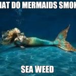 Mermaid  | WHAT DO MERMAIDS SMOKE? SEA WEED | image tagged in mermaid | made w/ Imgflip meme maker