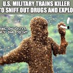 Sniffer Bees To Be Used to Detect Drugs And Explosives | U.S. MILITARY TRAINS KILLER BEES TO SNIFF OUT DRUGS AND EXPLOSIVES; AW COME ON GUYS. IT'S ONLY ONE JOINT | image tagged in killer bees,explosive,war on drugs | made w/ Imgflip meme maker