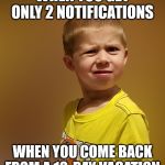 Say what? | WHEN YOU GET ONLY 2 NOTIFICATIONS; WHEN YOU COME BACK FROM A 10-DAY VACATION | image tagged in say what | made w/ Imgflip meme maker