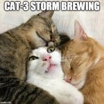 Cat Hurricane | CAT-3 STORM BREWING | image tagged in cat surrounded by cats,cat,hurricane,florida,dorian | made w/ Imgflip meme maker