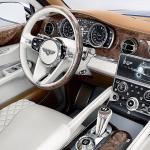 Car luxury interior
