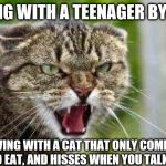 Angry Cat | LIVING WITH A TEENAGER BY LIKE; LIVING WITH A CAT THAT ONLY COMES OUT TO EAT, AND HISSES WHEN YOU TALK TO IT | image tagged in angry cat | made w/ Imgflip meme maker