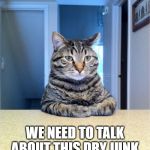 Take A Seat Cat | SIT DOWN... WE NEED TO TALK ABOUT THIS DRY JUNK YOU ARE FEEDING ME. | image tagged in memes,take a seat cat | made w/ Imgflip meme maker