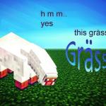 The grass is grass