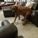 What did you say about me? | WHAT DID YOU SAY? | image tagged in what did you say about me | made w/ Imgflip meme maker
