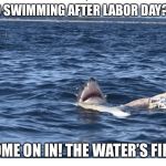 Great White Hello | NO SWIMMING AFTER LABOR DAY?!? COME ON IN! THE WATER’S FINE! | image tagged in great white hello | made w/ Imgflip meme maker