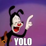 YOLO | YOLO | image tagged in yakko,yolo | made w/ Imgflip meme maker