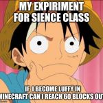 Luffy focused | MY EXPIRIMENT FOR SIENCE CLASS; IF  I BECOME LUFFY IN MINECRAFT CAN I REACH 60 BLOCKS OUT | image tagged in luffy focused | made w/ Imgflip meme maker