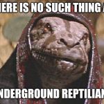 Doom Snake | THERE IS NO SUCH THING AS; UNDERGROUND REPTILIANS | image tagged in doom snake | made w/ Imgflip meme maker