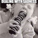 Cookies | WE ALL HAVE DIFFERENT WAYS OF DEALING WITH SADNESS; BUT THIS IS TOO MUCH | image tagged in cookies | made w/ Imgflip meme maker