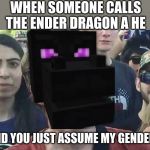 meme angry woman | WHEN SOMEONE CALLS THE ENDER DRAGON A HE; DID YOU JUST ASSUME MY GENDER! | image tagged in meme angry woman | made w/ Imgflip meme maker