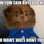 Best Buy dog | WOW YOW CAIN BUY FOOD HEWR; OH WAWT, WATS NOWT FOOD | image tagged in best buy dog | made w/ Imgflip meme maker