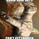 Invisible titanic | WHEN U KNOW HOW CATS; CAN'T GET ENOUGH OF THE MOVIE TITANIC | image tagged in invisible titanic | made w/ Imgflip meme maker