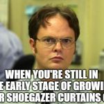 Dwight Schrute Meme Generator - Imgflip
