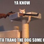 Cat with gun | YA KNOW; GOTTA TRANQ THE DOG SOME HOW | image tagged in cat with gun | made w/ Imgflip meme maker